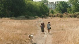 Dry brown grass covers Blackheath Common during heatwave in London