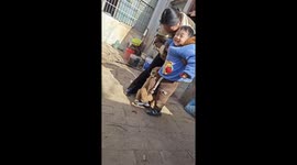 The Golden Retriever Holds the Leg of the Boy