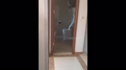 temp