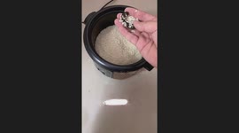 Cat Pooped in Rice Cooker