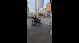 The Dog Stands in the Bicycle Basket