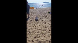Baby struggling to stand up in the sand