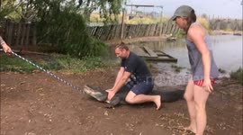 Man gets thumb bitten off by alligator
