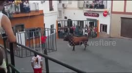 Bull breaks into cage and gores man
