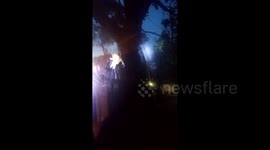 Mom Freaking Out At A Spider