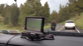 Woman freaks out as bison appears on road