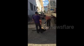 呼伦贝尔：团伙光天化日掏“地沟油”  