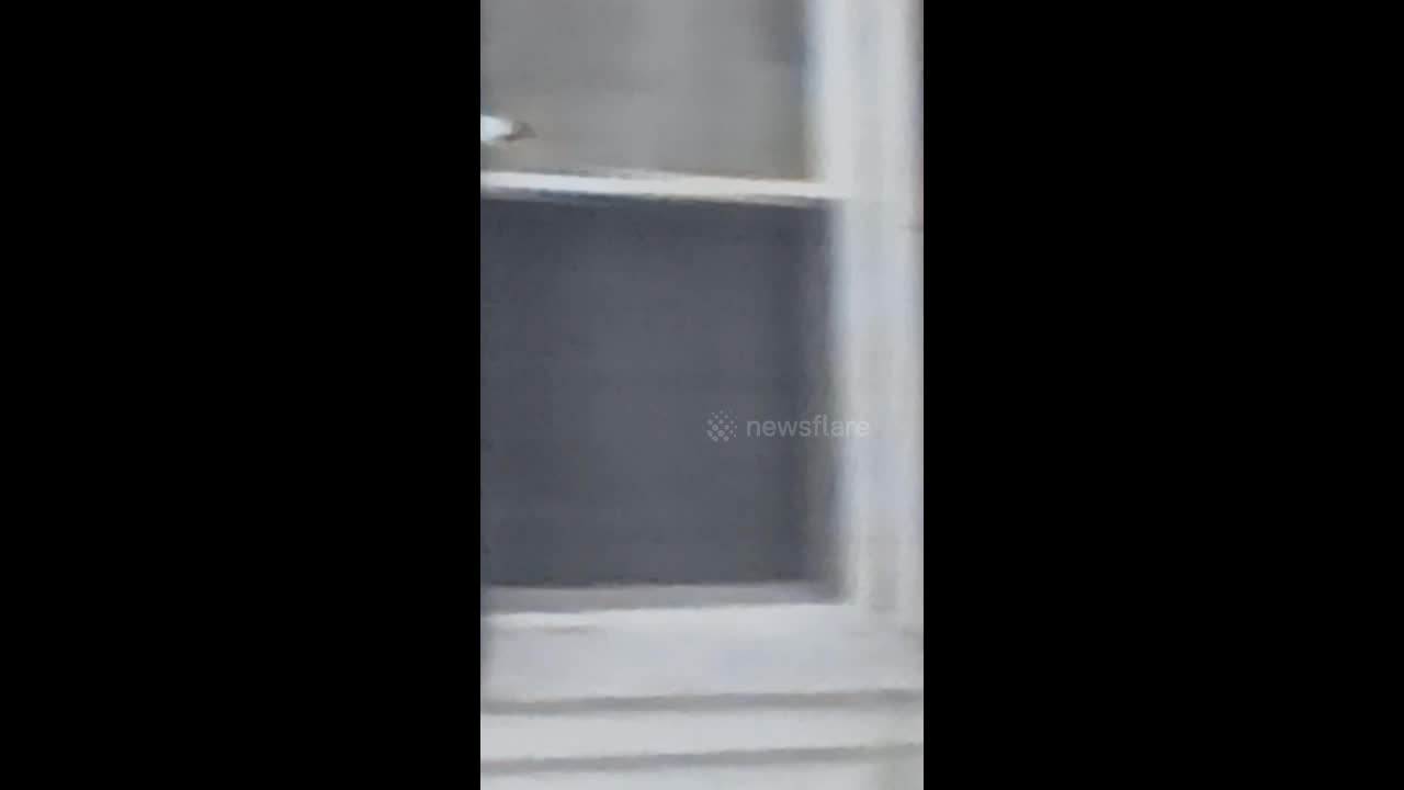 text