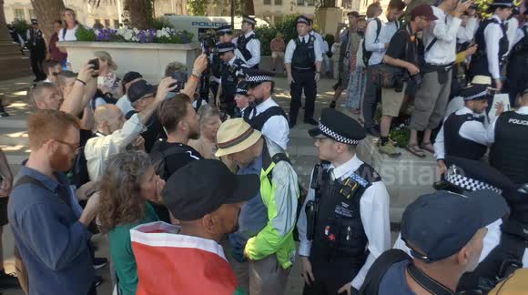 Hundreds of police & dozens of arrests in London as activists support Palestine Action