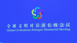 China: Peking University professor celebrates diversity, particularity at Global Civilizations Dialogue