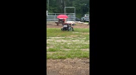 Kiki is the first sheep to utilize joystick technology for independent motorized mobility