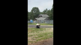 I am thinking she headed straight for the tractor but she turns the last minute!