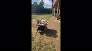 temp
