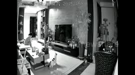 Cats sense danger and alert owner of collapsing TV wall