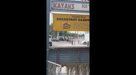 Woman pushes bike with giant fish on seat in Siesta Key, Florida