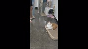 temp