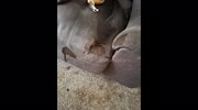 temp