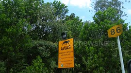 Wild Animal Crossing Area warning sign