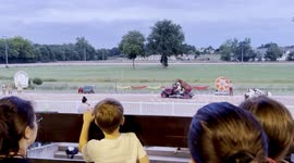 Horse driven around in car during bizarre Bastille Day show in France