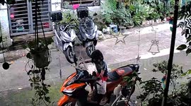 Little girl accidentally pushes over scooter while playing with kitten