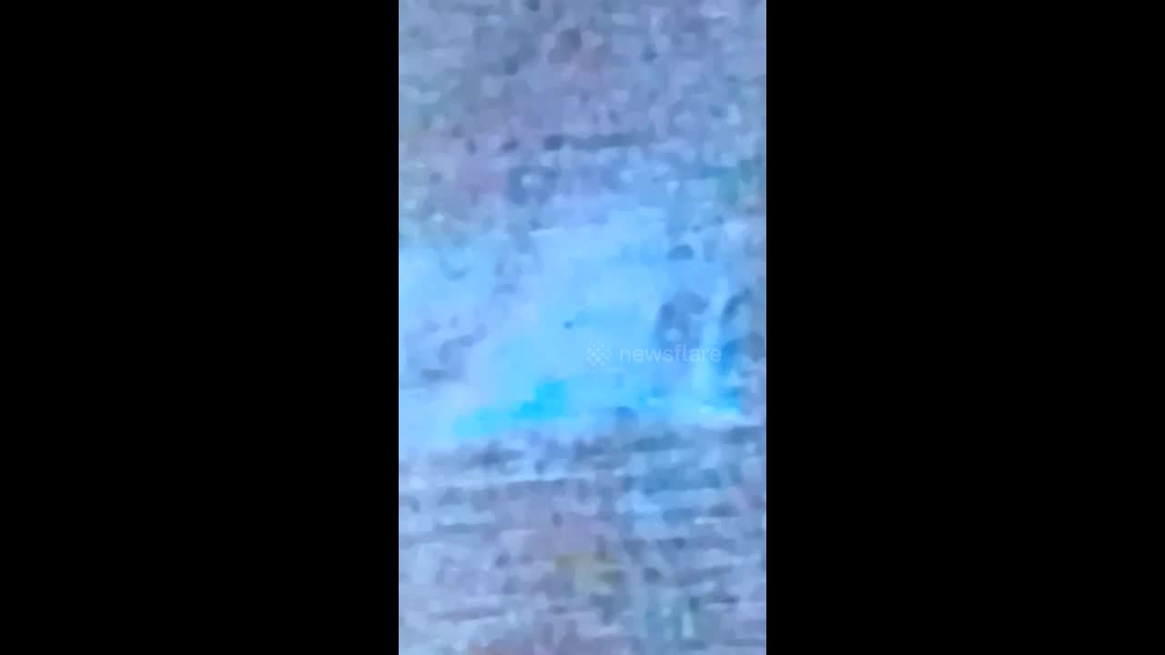 text