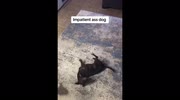 temp