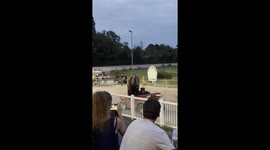A bison is driven around in a jeep in a bizarre Bastille Day celebration