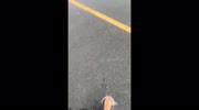temp