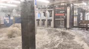 temp