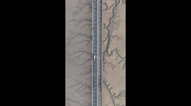 Magnificent Tidal Trees