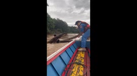 Schoolgirl rescued after clinging to tree branch in swollen river