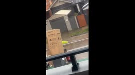 Elderly woman toppled over by flying box during cyclone in Sydney