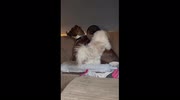 temp