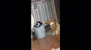 temp