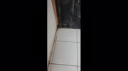temp
