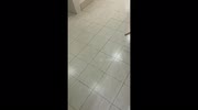 temp