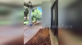 US: Surveillance Video Shows Porch Pirate Stealing $1,000 Phone In Auburndale