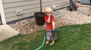 temp
