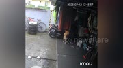temp
