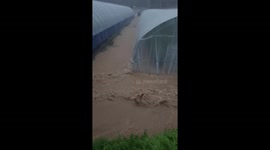 Rain swamps farm in South Korea as floods leave two dead