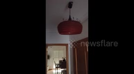 Spain: Powerful Earthquake Hits Huércal de Almería