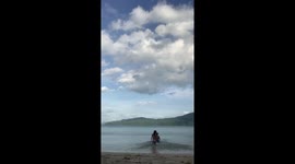 Stray dog photobombs couple's romantic beach shoot and pees on camera