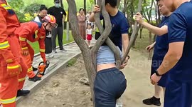 Firefighters forced to push woman through tree after she gets stuck in trunk