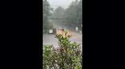 temp