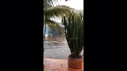 temp