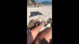 Band of curious coatis won't leave woman alone on Brazilian beach