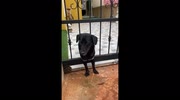 temp