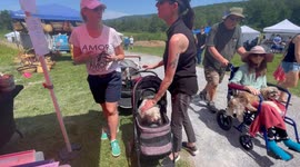 Dogs in a baby carriage at the Apple Barn Blueberry Fair in Vermont