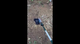 Cap supporting Trump set on fire in USA