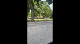 Comedian mistakes rusted pole for tiger, sparks laughs and “ting!” reveal